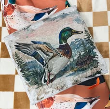 Mallard Graphic - Multiple Styles